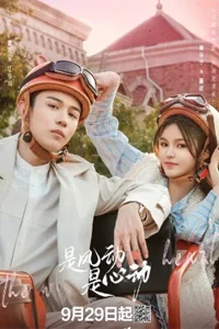 Ветер ли, сердце ли