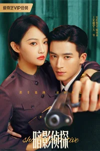 Теневой детектив